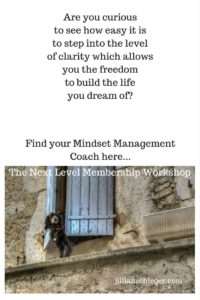 mindset coaching, prosperity, next level manifetation